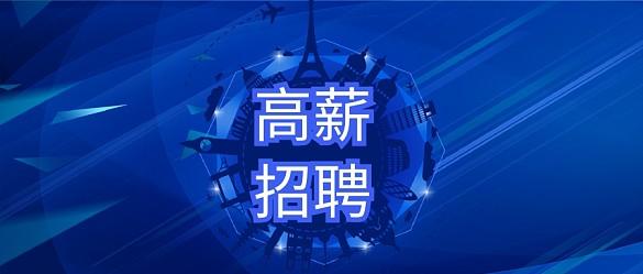 无纺布手提袋
