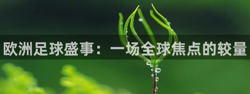 欧洲足球盛事：一场全球焦点的较量