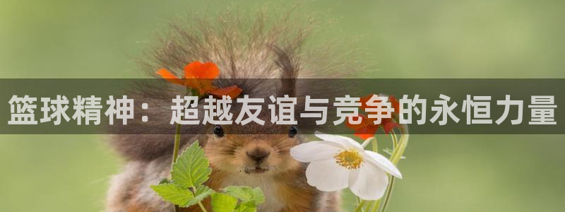 篮球精神：超越友谊与竞争的永恒力量