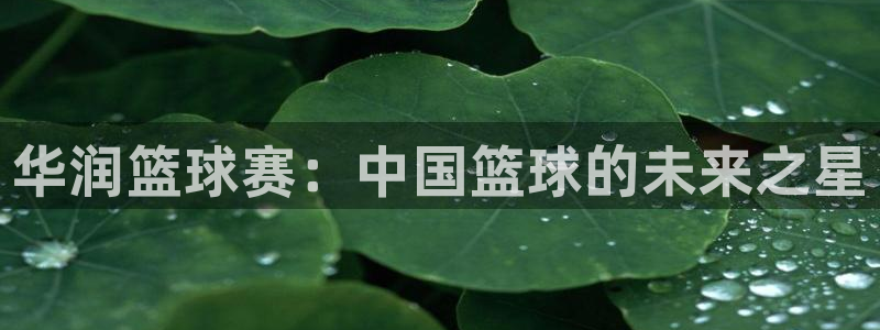九游体育登录：华润篮球赛：中国篮球的未来之星