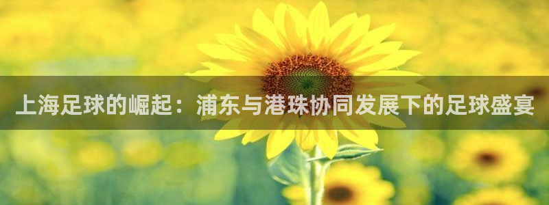 九游体育网站：上海足球的崛起：浦东与港珠协同发展下的足球盛宴