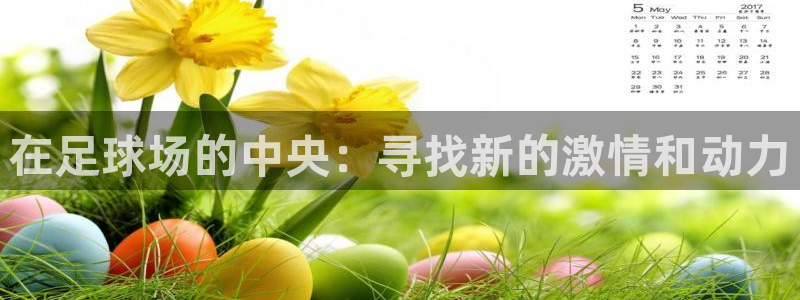 九游体育下载：在足球场的中央：寻找新的激情和动力