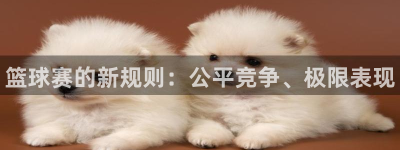九游体育官网：篮球赛的新规则：公平竞争、极限表现