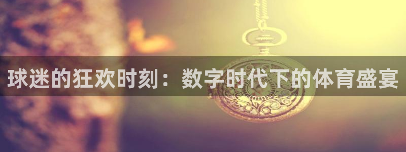 九游体育app：球迷的狂欢时刻：数字时代下的体育盛宴