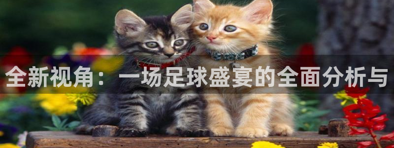 九游体育官网：全新视角：一场足球盛宴的全面分析与
